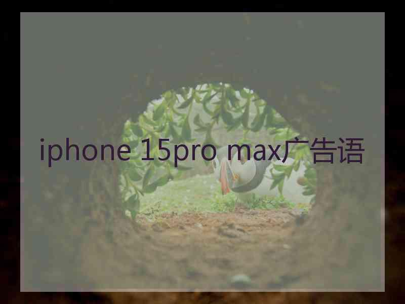 iphone 15pro max广告语