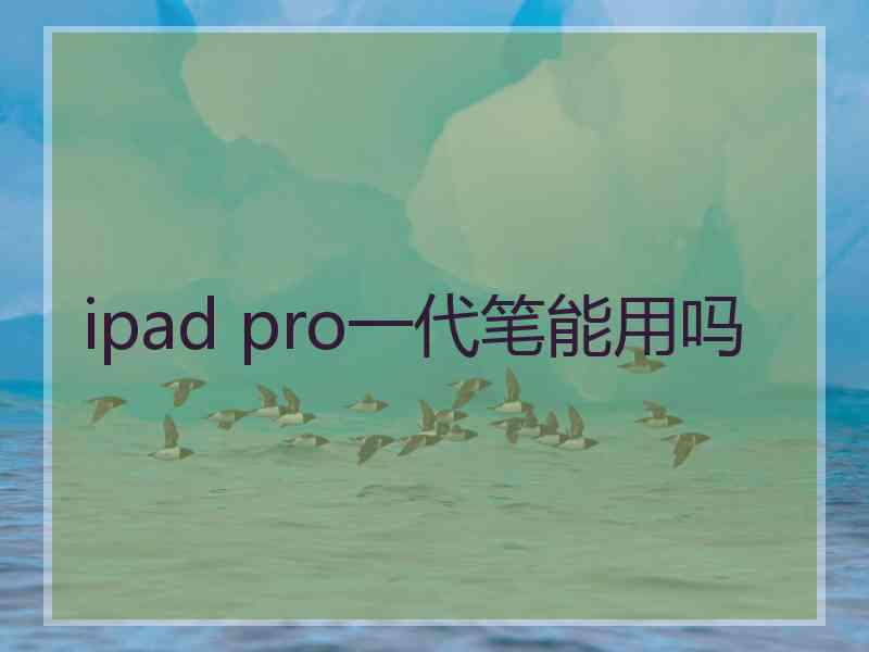 ipad pro一代笔能用吗