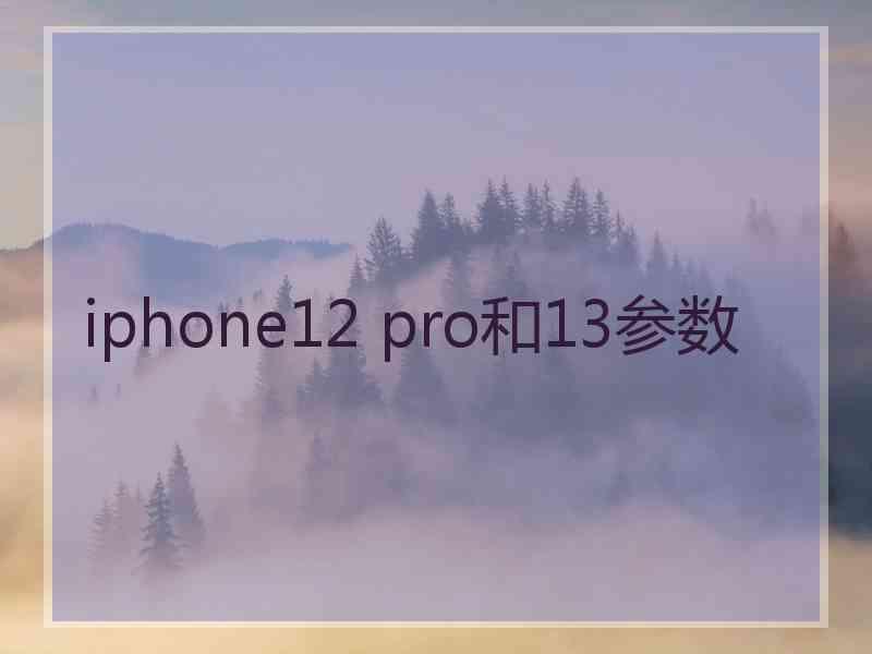 iphone12 pro和13参数