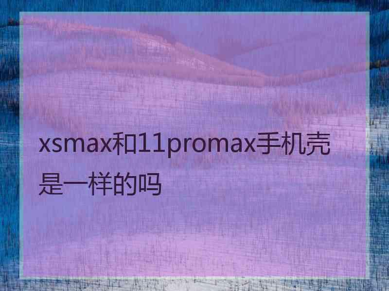 xsmax和11promax手机壳是一样的吗