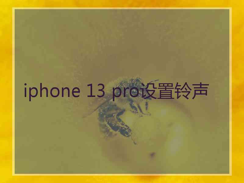 iphone 13 pro设置铃声