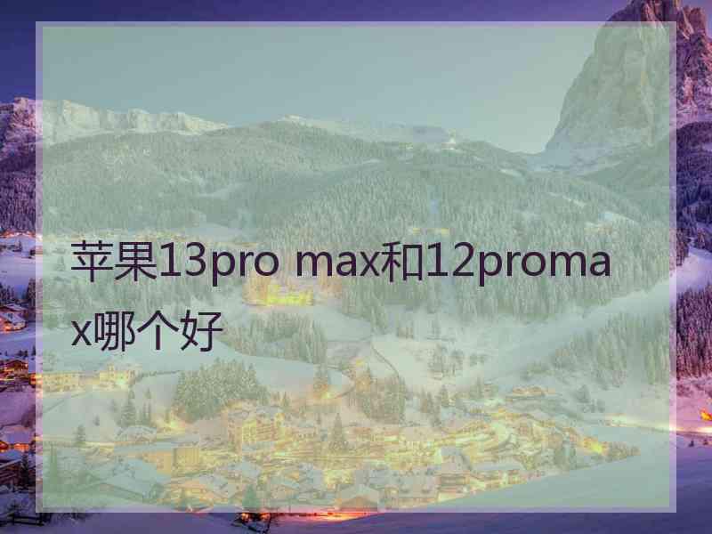 苹果13pro max和12promax哪个好