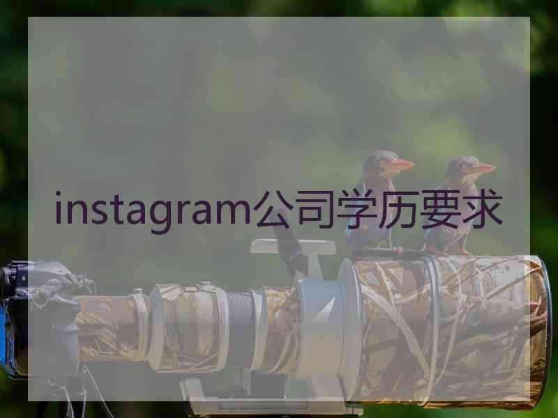 instagram公司学历要求