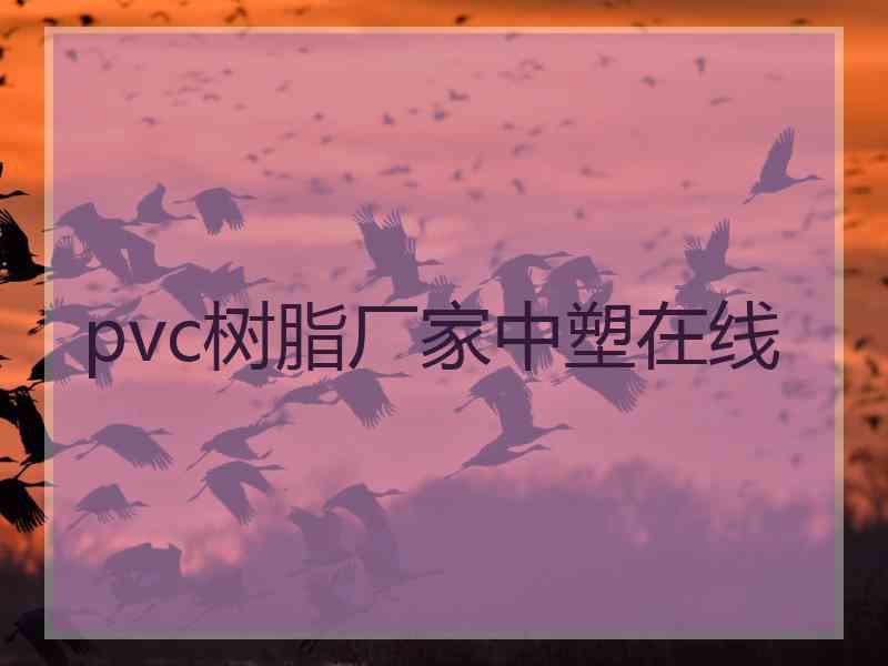 pvc树脂厂家中塑在线