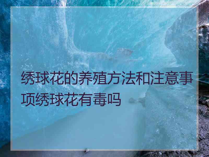 绣球花的养殖方法和注意事项绣球花有毒吗