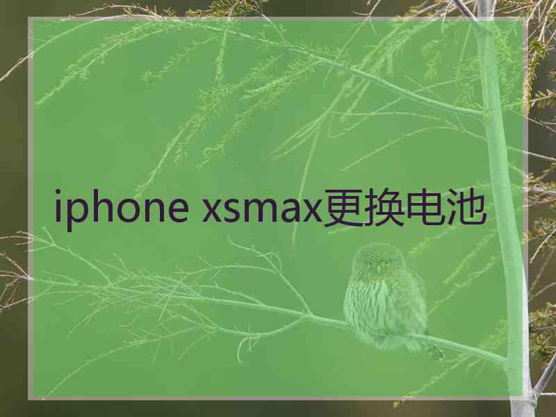 iphone xsmax更换电池