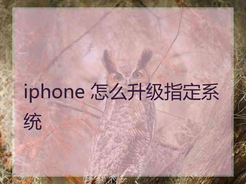 iphone 怎么升级指定系统