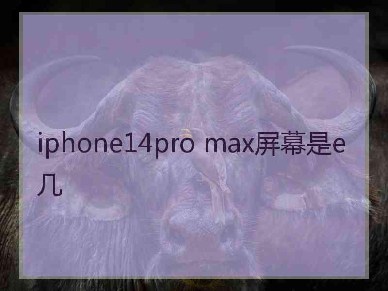 iphone14pro max屏幕是e几