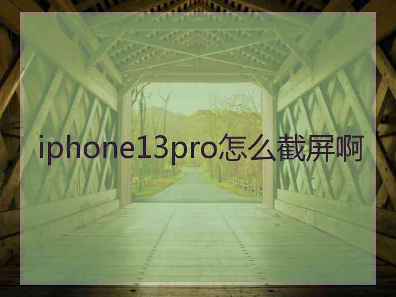 iphone13pro怎么截屏啊