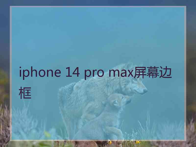 iphone 14 pro max屏幕边框