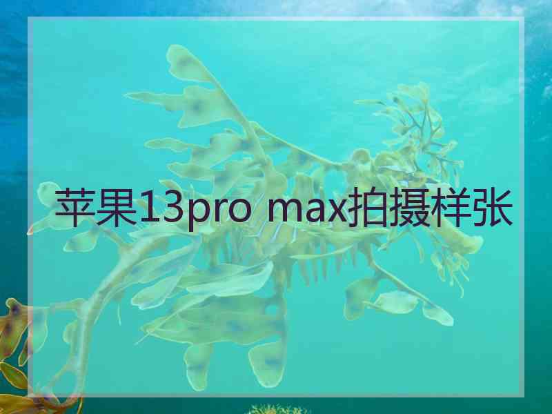 苹果13pro max拍摄样张