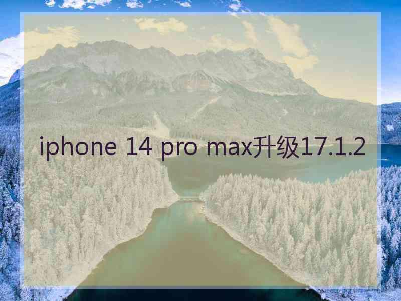 iphone 14 pro max升级17.1.2