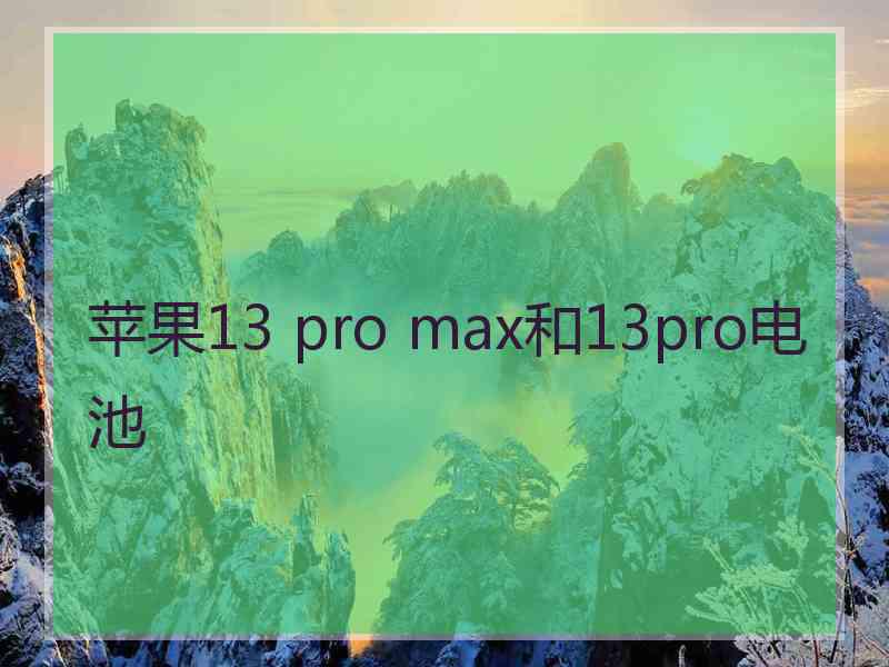 苹果13 pro max和13pro电池