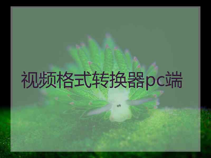 视频格式转换器pc端