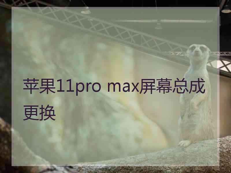 苹果11pro max屏幕总成更换