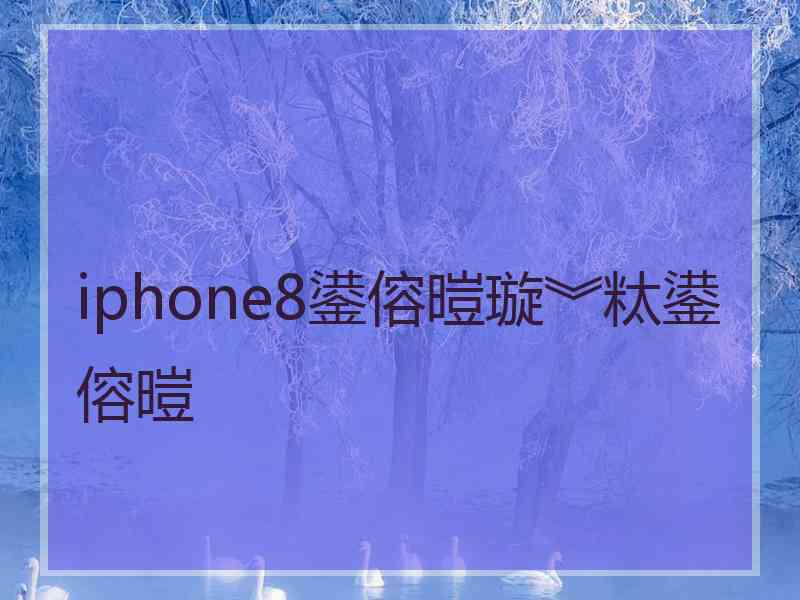 iphone8鍙傛暟璇︾粏鍙傛暟