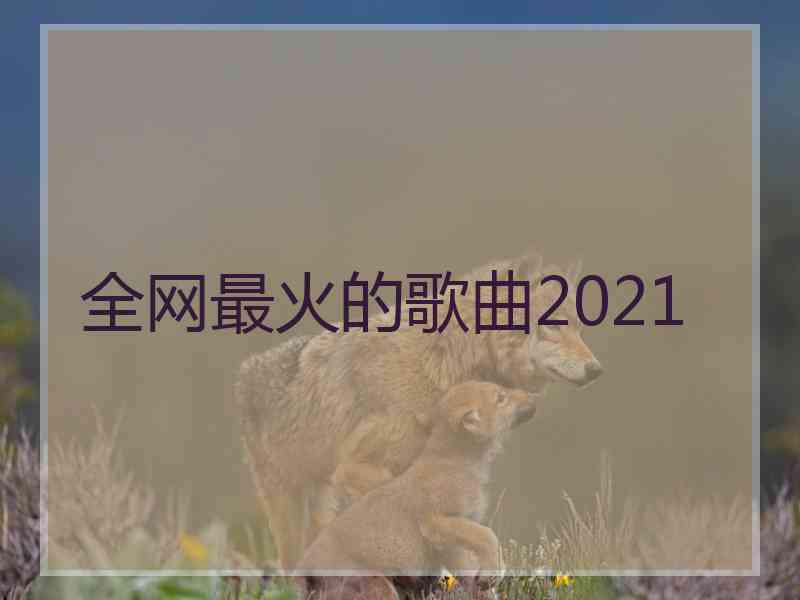 全网最火的歌曲2021