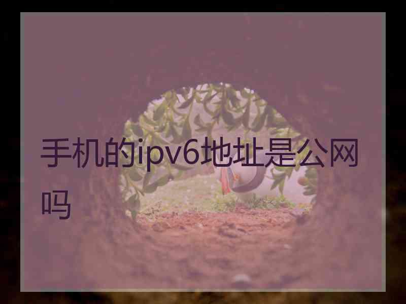 手机的ipv6地址是公网吗