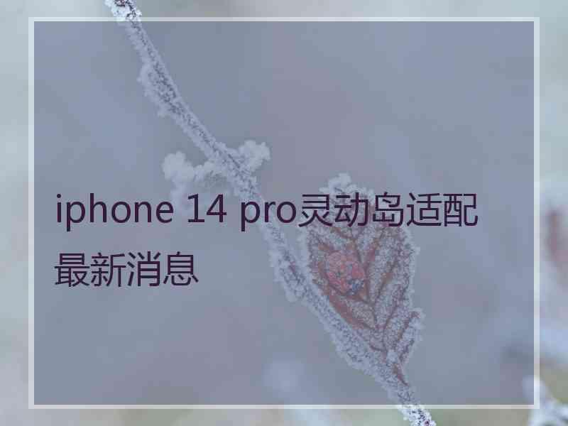 iphone 14 pro灵动岛适配最新消息