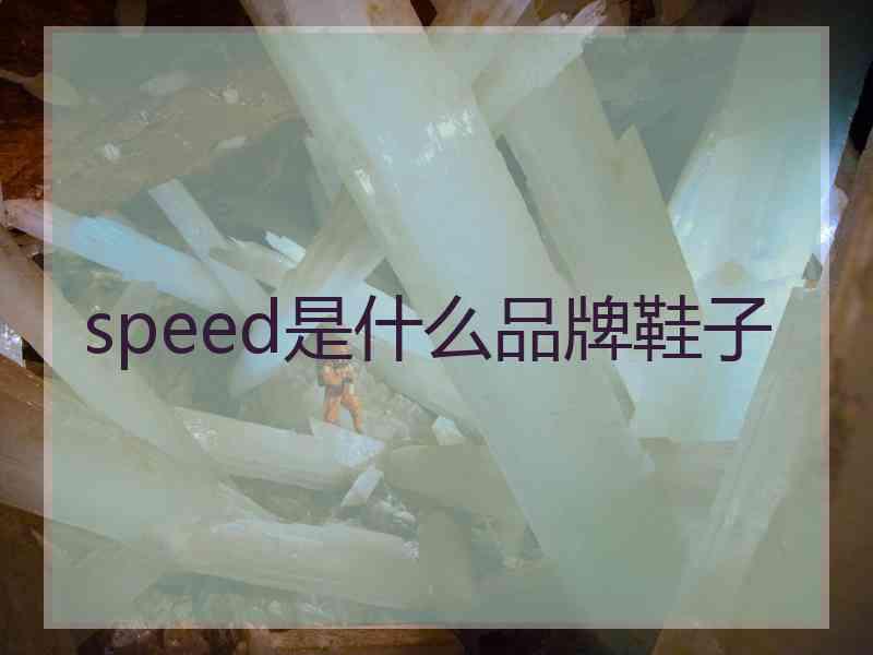 speed是什么品牌鞋子