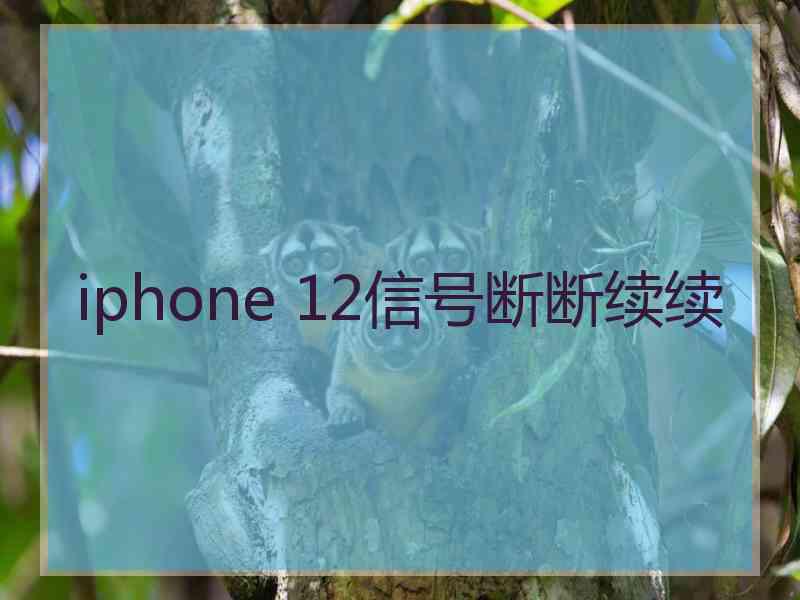 iphone 12信号断断续续