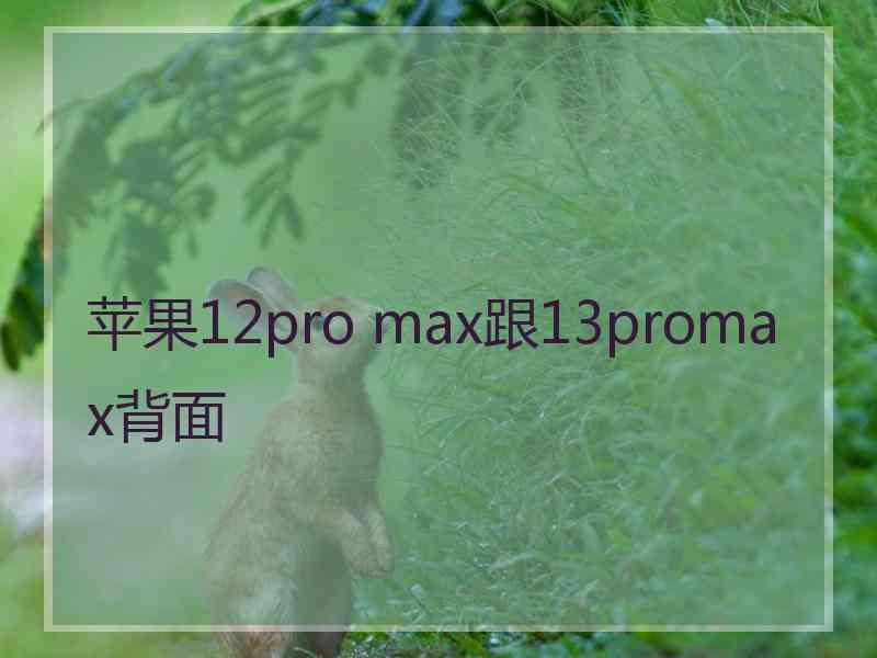 苹果12pro max跟13promax背面