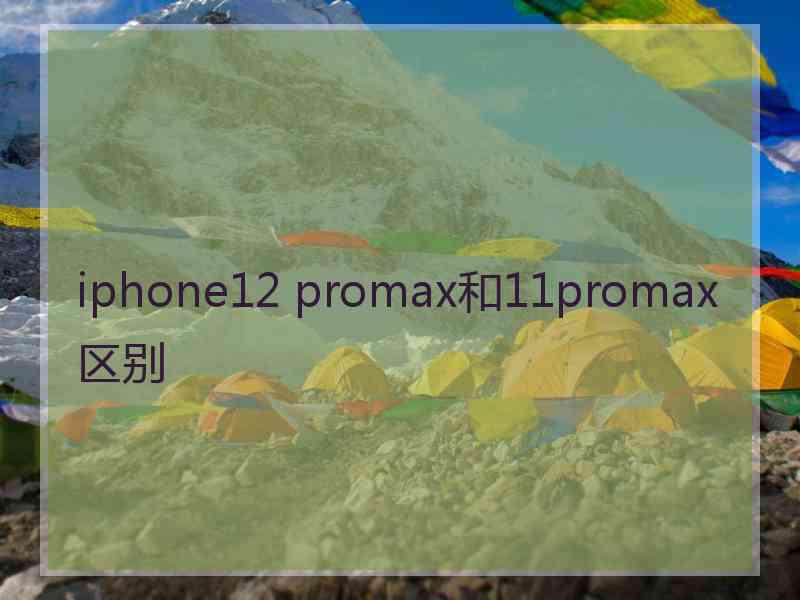 iphone12 promax和11promax区别