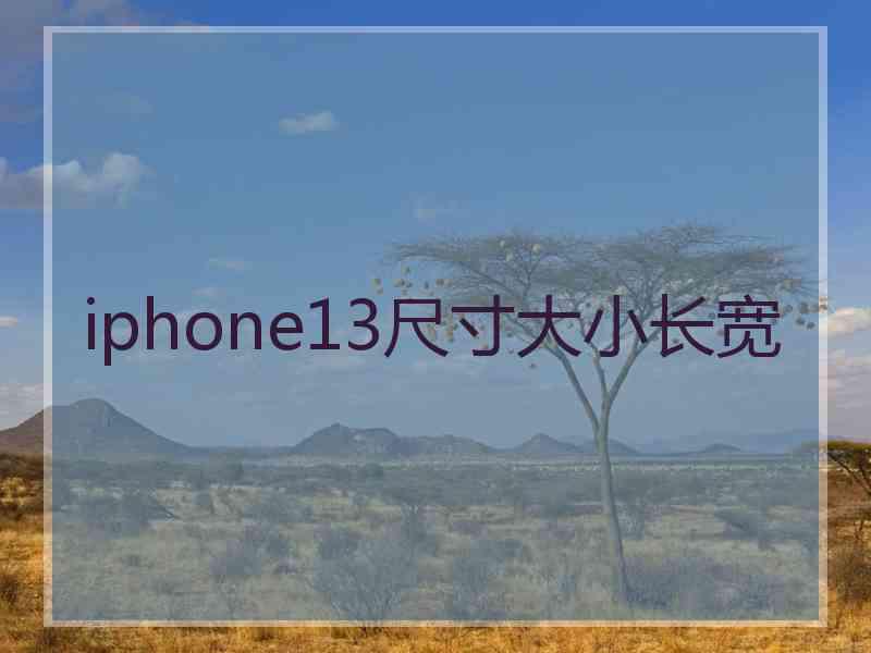 iphone13尺寸大小长宽