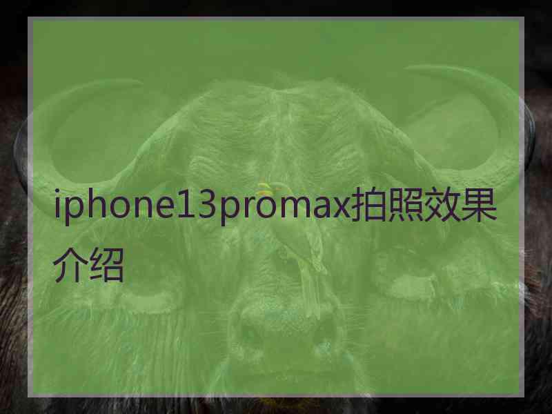 iphone13promax拍照效果介绍