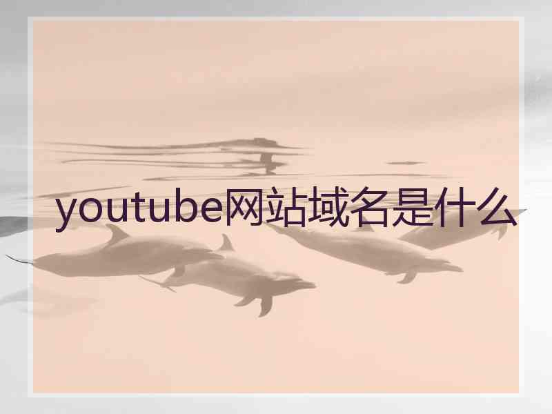 youtube网站域名是什么