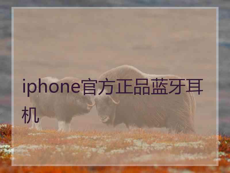 iphone官方正品蓝牙耳机