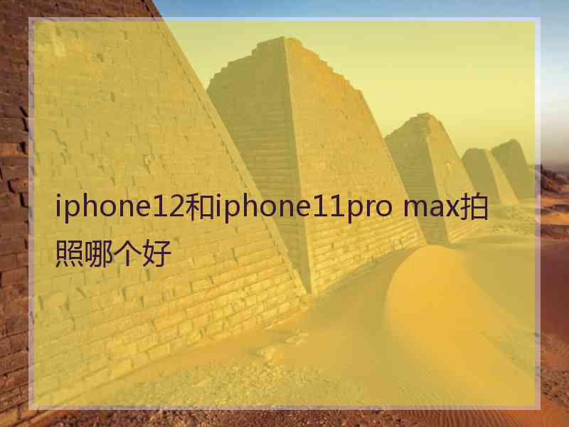 iphone12和iphone11pro max拍照哪个好