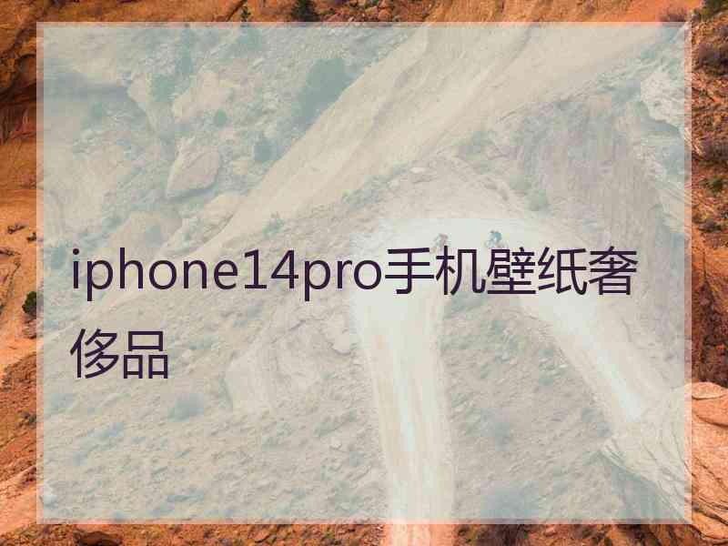 iphone14pro手机壁纸奢侈品