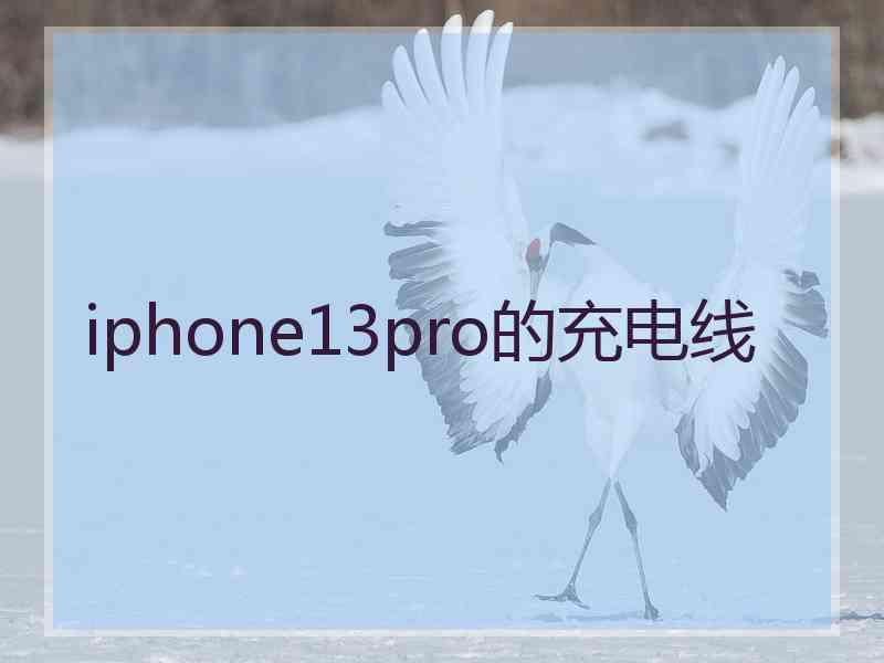 iphone13pro的充电线