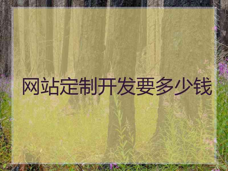 网站定制开发要多少钱