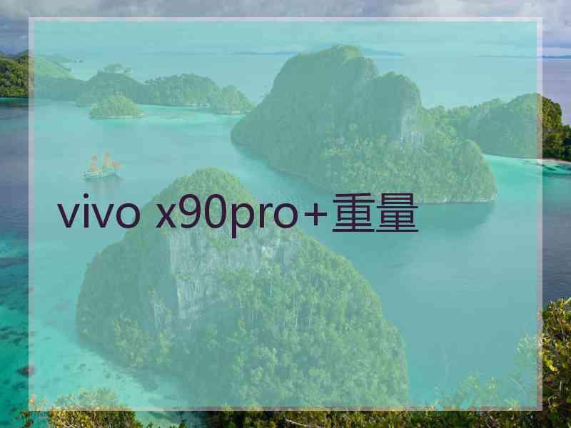 vivo x90pro+重量