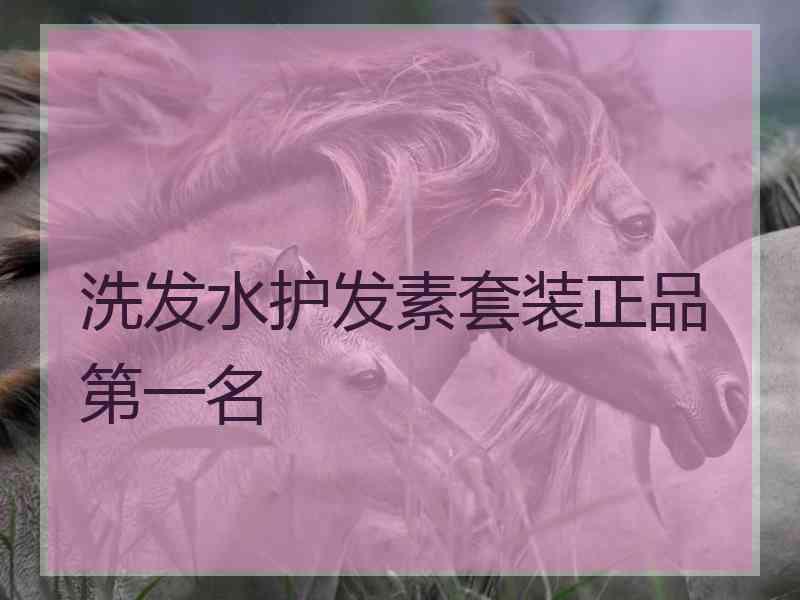 洗发水护发素套装正品第一名