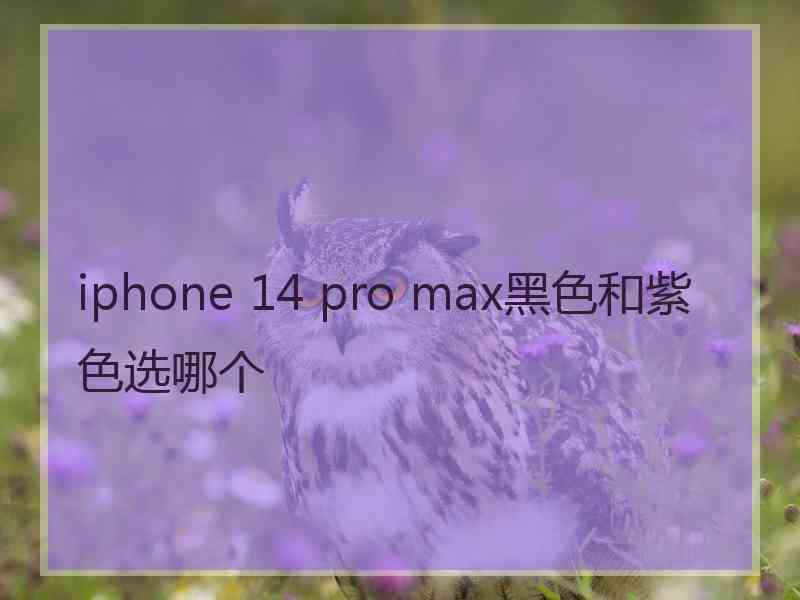 iphone 14 pro max黑色和紫色选哪个