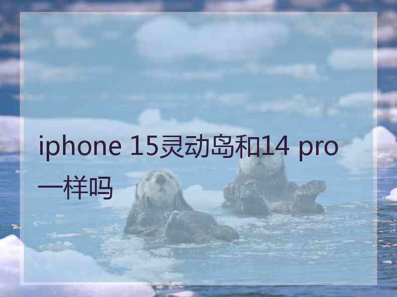 iphone 15灵动岛和14 pro一样吗