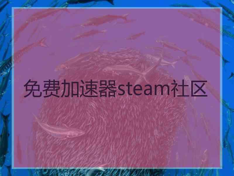 免费加速器steam社区