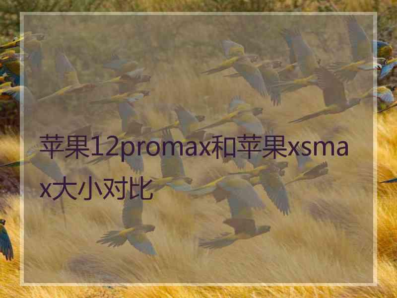 苹果12promax和苹果xsmax大小对比