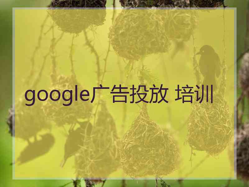 google广告投放 培训