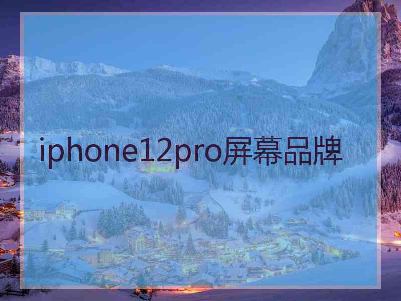 iphone12pro屏幕品牌