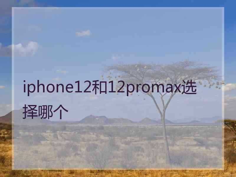 iphone12和12promax选择哪个