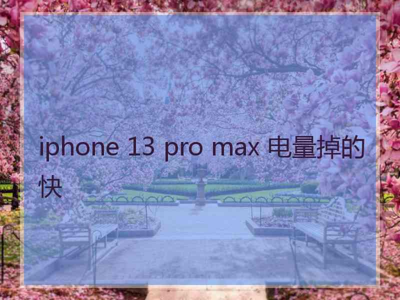 iphone 13 pro max 电量掉的快