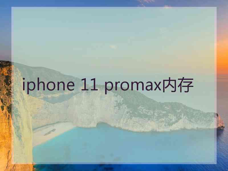 iphone 11 promax内存