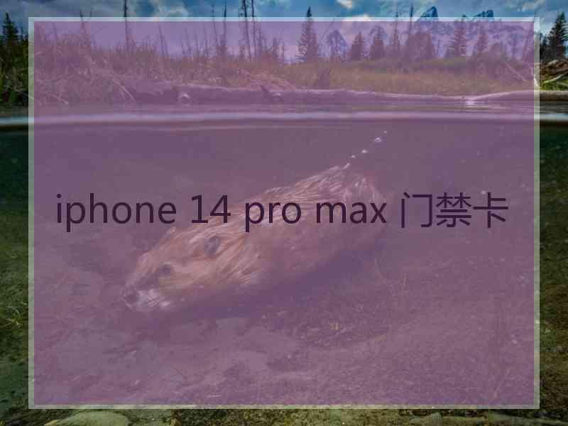 iphone 14 pro max 门禁卡