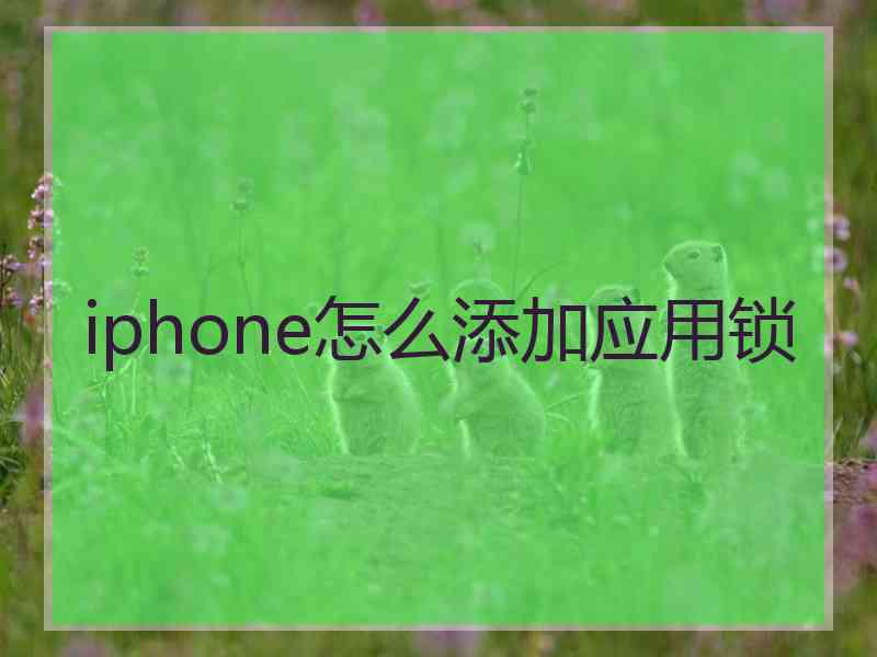 iphone怎么添加应用锁