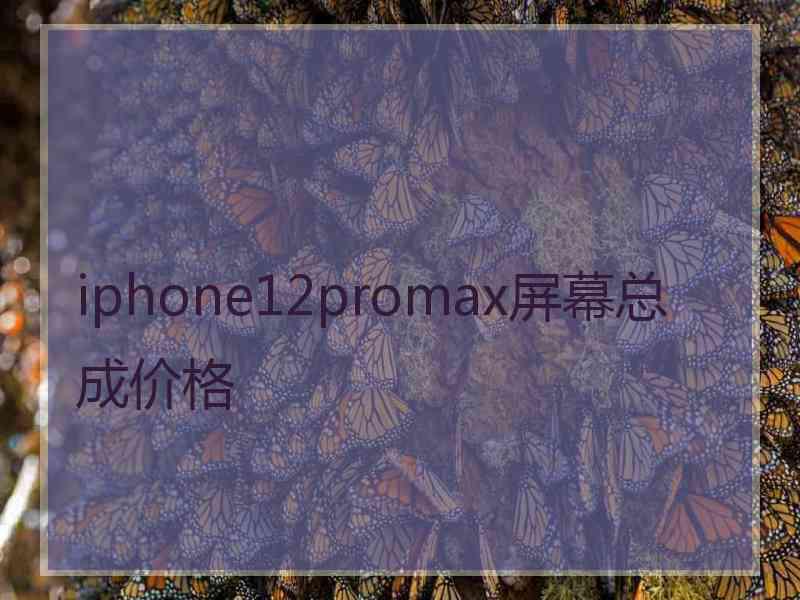 iphone12promax屏幕总成价格