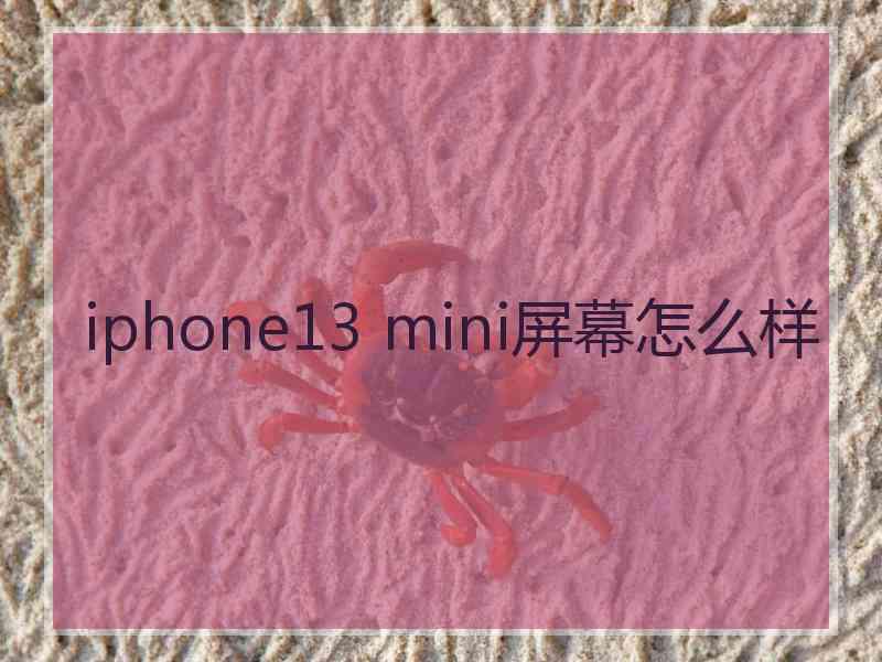 iphone13 mini屏幕怎么样